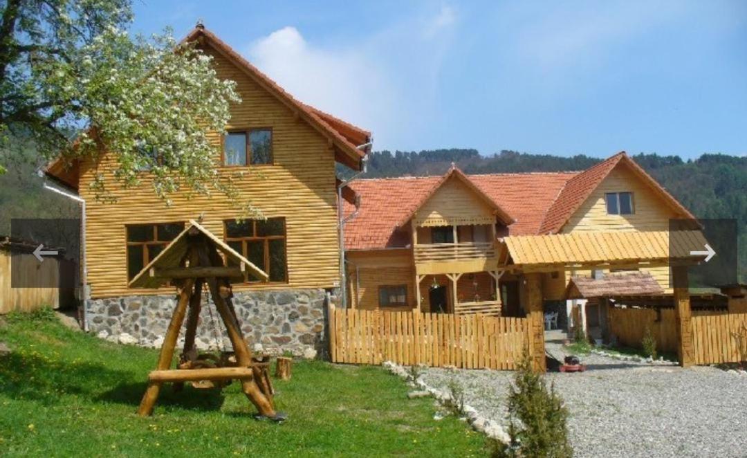 Pensiunea Codru Sălciua de Jos Exterior foto
