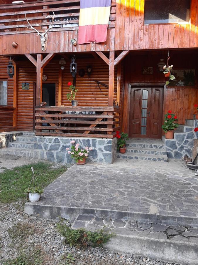 Pensiunea Codru Sălciua de Jos Exterior foto